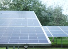 Veikalu tīkls "Elvi" investēs pusmiljonu eiro saules paneļu uzstādīšanā