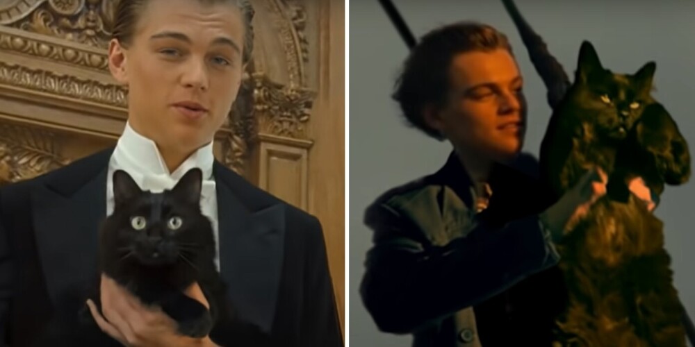 Пародия на фильм "Титаник" с кошкой вместо Кейт Уинслет покорила Сеть