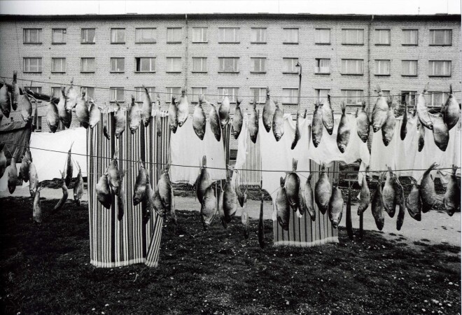 Гвидо Кайонс. “Рыба на веревке”, из цикла “Тема 011”, 1980-1990