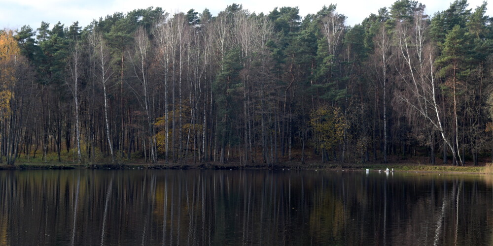 Usmas ezerā ūdens līmenis tuvojas iepriekš uzstādītajam rekordam