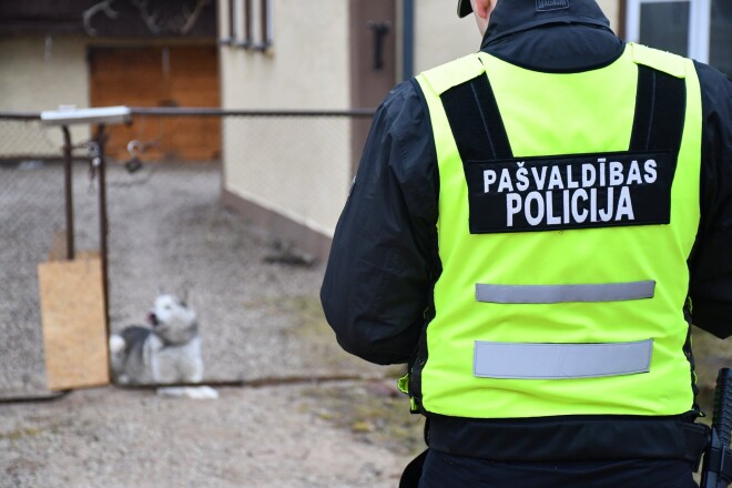 Kuldīgas pievārtē darbojoties organizēta suņu tirdzniecības banda. Policijas ziņas gan to neapstiprina.