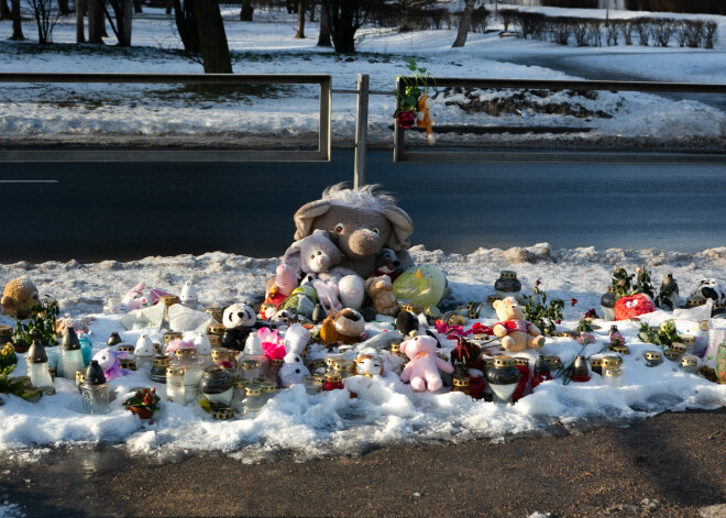 Суд над сбившим 8-летнюю Эмилию водителем начнется через три недели