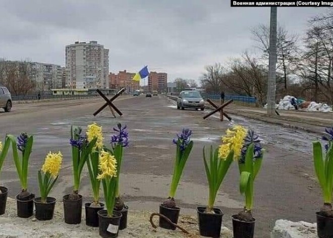 “Вы где? Мы в подвале”. Военный дневник жительницы города Сумы