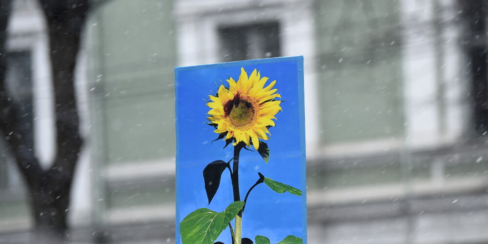 Иллюстративное фото