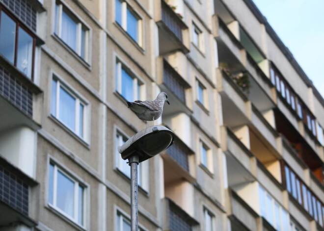 OECD: mājokļu problēmu risināšanai Latvijā nepieciešama ilgtermiņa visaptveroša stratēģija