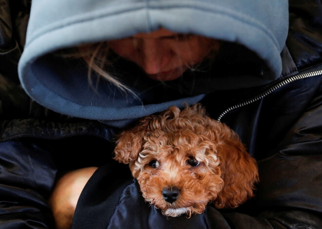Как волонтеры в Киеве помогают выжить больным и старикам во время войны