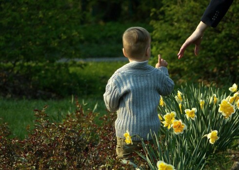 Testaments ir vienīgais veids, kā izteikt savu gribu, un drošāk ir sastādīt publisku, nevis privātu testamentu.