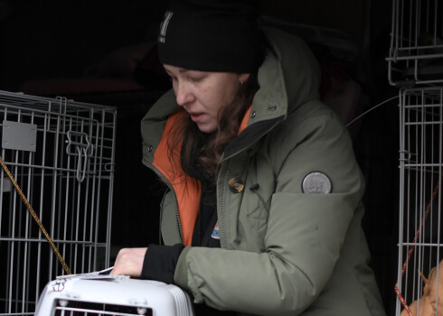 Drosmīgo ceļš uz Ukrainu. Rasma Kreica glābj ukraiņu kaķus un suņus