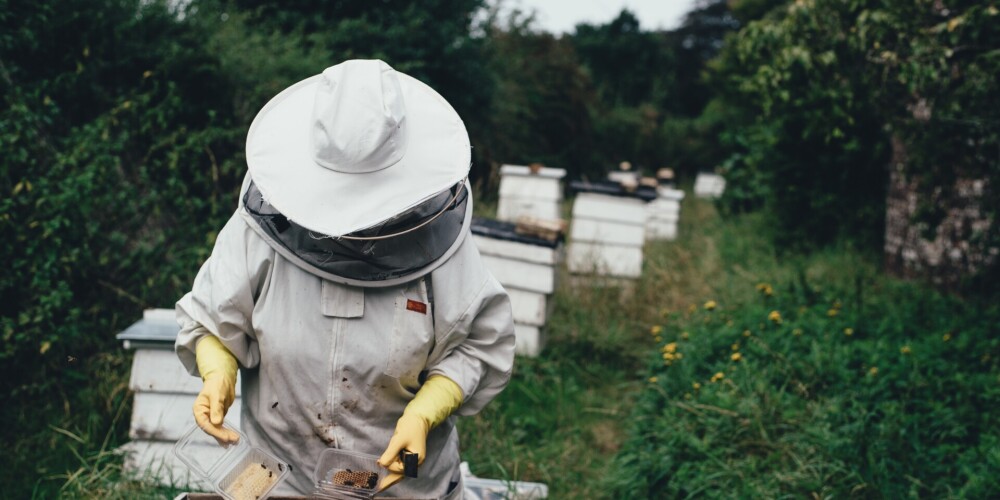 Zemkopības ministrs biškopjiem sola lielāku atbalsta finansējumu no nākamā gada