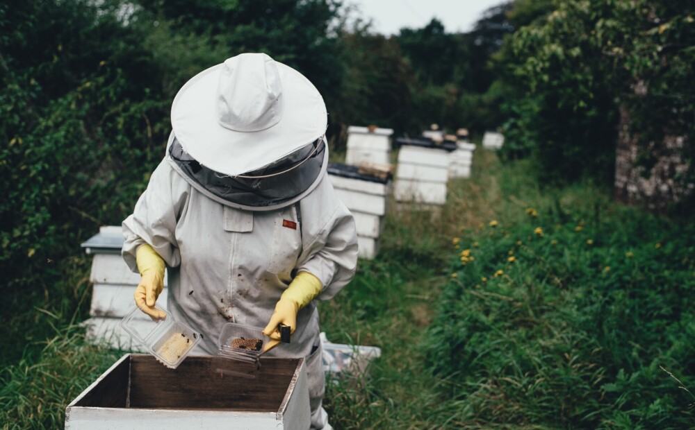 Zemkopības ministrs biškopjiem sola lielāku atbalsta finansējumu no nākamā gada