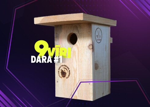 9Vīri Dara: kā uzbūvēt māju putniem?