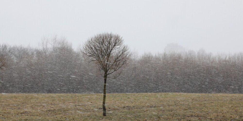 На выходных в Латвию вернется зимняя погода