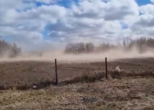 "Ветер сдул теннисный корт и повалил деревья": в соцсетях публикуют видео "песчаных бурь"