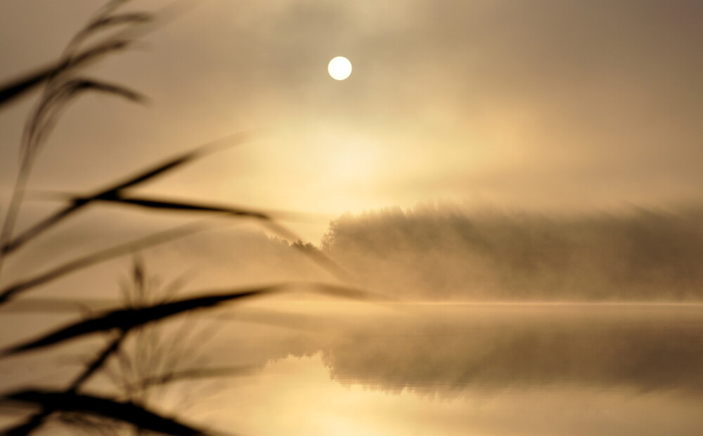 Воскресение группа альбомы. Облачно с прояснениями. Облачно с прояснениями гиф. Лучи солнца. Воскресение группа альбомы.