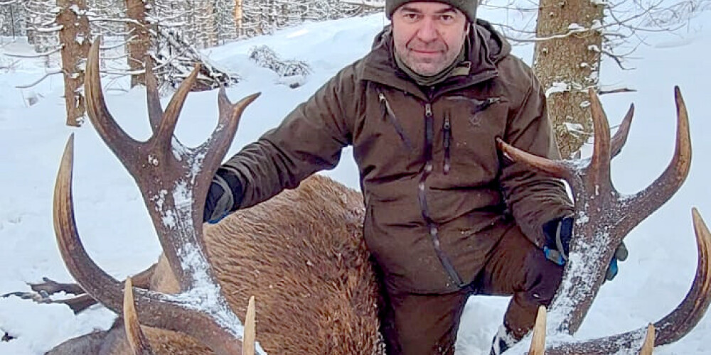 Šogad visu laiku izcilāko staltbriežu trofeju TOP 10 7.vietu ieguva Uldis Čibals, kura Alsviķos nomedītā brieža trofejai piešķīra 239,53 CIC punktus.