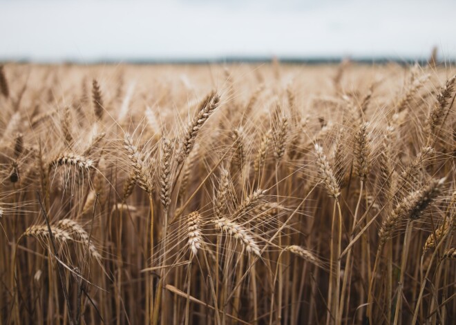 Украина просит помочь ей вывезти прошлогодний урожай зерновых