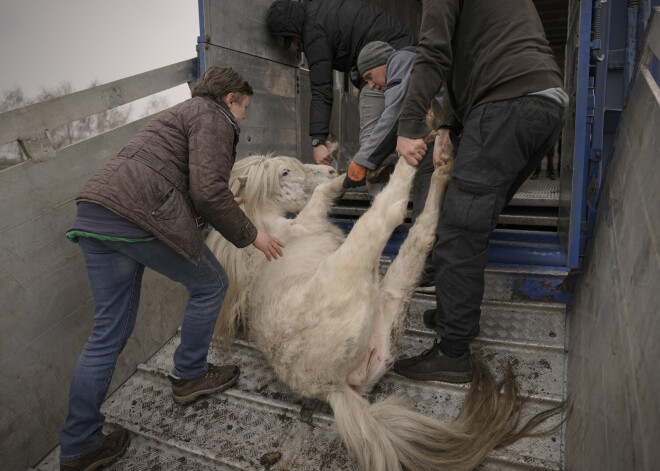 Pieredzētais atgādina jaunu holokaustu: atskats uz pēdējās dienās Ukrainā notikušo