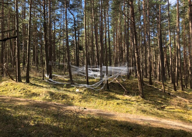 Ieraugot šādu nakts izklaižu cienītāja "mēslu instalāciju" Ventspils pievārtes mežā pārņem sirreāla sajūta.