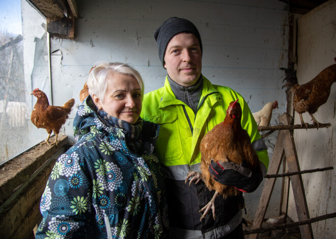 Lieldienas savā saimniecībā: Vītolu ģimene saprata, ka nevēlas dzīvot pilsētā, un bija gatava pārbaudījumiem