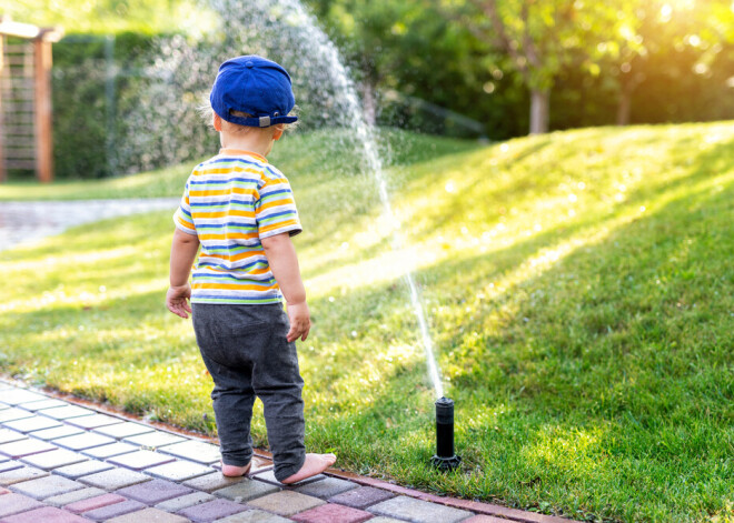 Поливать газоны запрещено: в Германии начали экономить воду