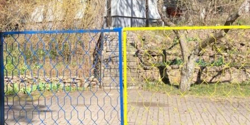 Par nokrāsotajiem mājas vārtiem Ždanoka kriminālprocesu nav lūgusi ierosināt