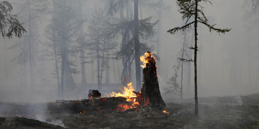 Krievijai kara dēļ šogad trūkst spēku cīņai ar Sibīrijas mežu ugunsgrēkiem