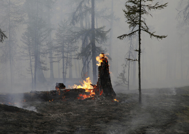 Krievijai kara dēļ šogad trūkst spēku cīņai ar Sibīrijas mežu ugunsgrēkiem