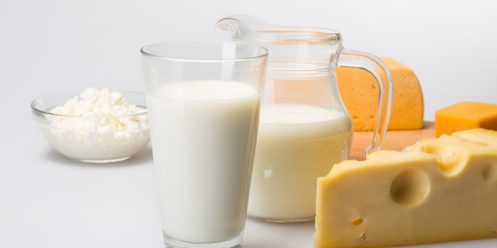 Кризис в молочной отрасли Латвии — некоторые предприятия на грани разорения