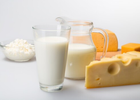 Кризис в молочной отрасли Латвии — некоторые предприятия на грани разорения