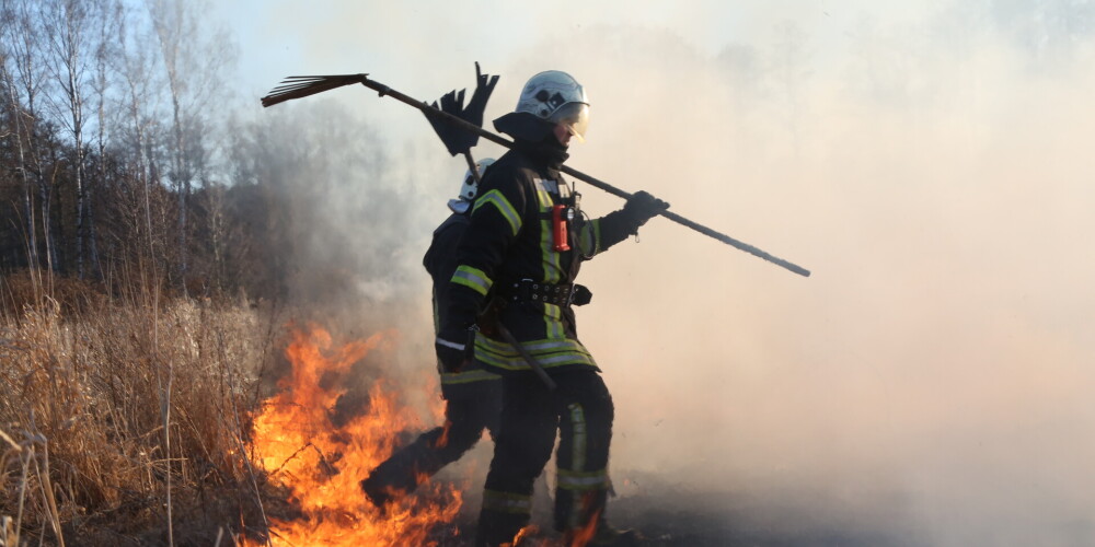 Со 2 мая в латвийских лесах объявляется период повышенной пожароопасности