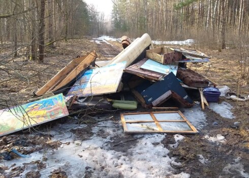 Kopumā mežā bija izmestas 15 gleznas.