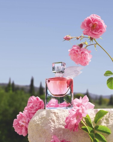 "Lancôme" raksta jaunu prieka manifestu, pievienojot "Oui" (jā!) pirms tā ikonisko smaržu "La Vie Est Belle" nosaukuma un uzlabojot saldā īrisa aromātu ar rozi.