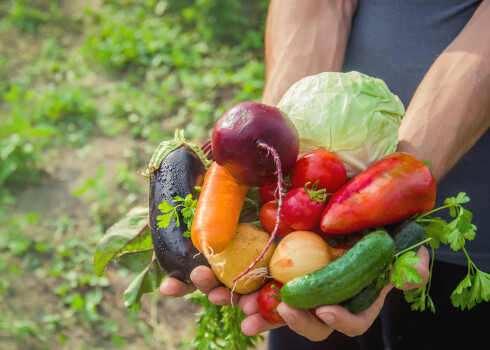 "Lielākie dārzkopju noslēpumi", lai izaudzētu ideālus tomātus, burkānus, papriku un citus dārzeņus