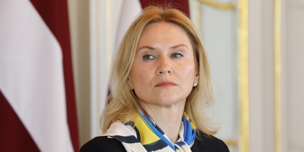 Вице-спикер Верховной Рады: Украина надеется на помощь Литвы во вступлении в ЕС