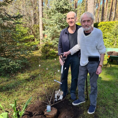  Brāļi Jānis un Andrejs Rītiņu par godu Mārtiņam savā dārzā Baltezerā šajā pavasarī iestādījuši magnoliju.