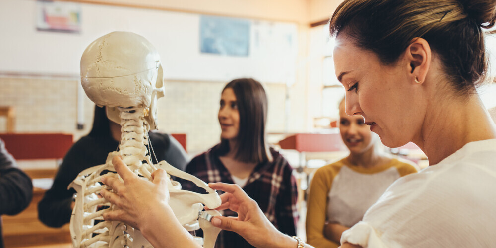 В немецкой школе детям десятилетиями показывали настоящий человеческий скелет