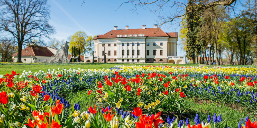 Pakrojas muižā uzzied Baltijā lielākais Pavasara ziedu festivāls