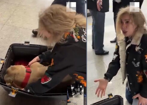 ВИДЕО: после  авиаперелета женщина получила мертвую собаку
