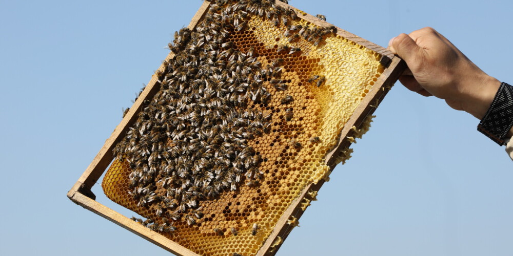 Lietas, ko tu vēl nezināji par medu, un kāpēc tā ēšanu nevajadzētu pārspīlēt