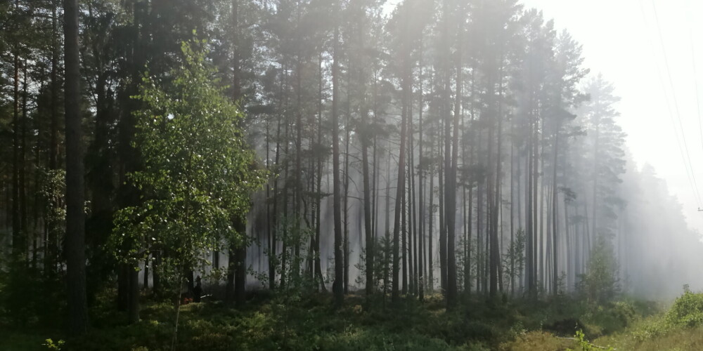 Izplata dzelteno brīdinājumu par augstu ugunsbīstamību Kurzemes dienvidu mežos
