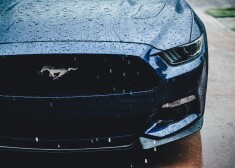 Ford выплатит 7 млн долларов родственникам жертвы ДТП