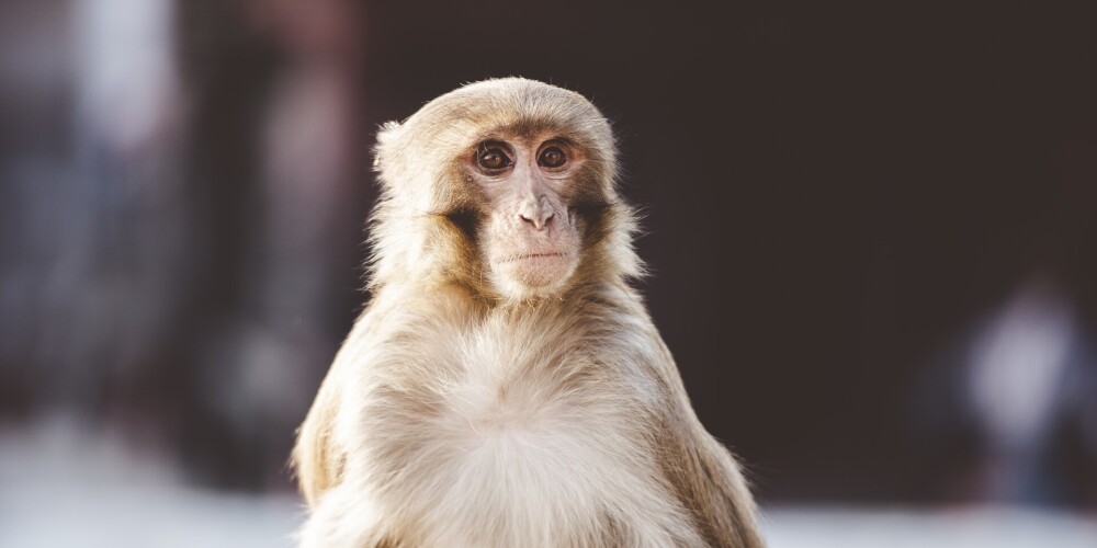 Иллюстративное фото