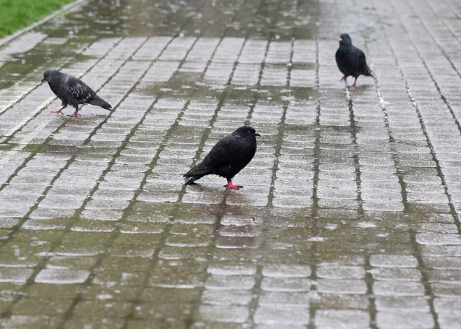 Svētdien daudzviet Latvijā līs, vietām gaidāmas lietusgāzes ar krusu