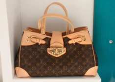 Louis Vuitton должен выплатить компенсацию за поддельную сумку