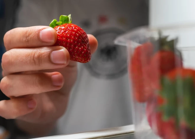 Как сохранить клубнику свежей дольше