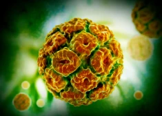 Ginekoloģe atklāti par dzemdes kakla vēzi, un kāpēc pret CPV vajadzētu vakcinēties arī pusmūžā