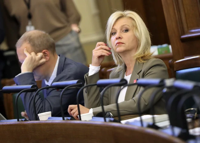 Naida kurināšana un "Saskaņiešu" aizvainošana. Ločmele rosina izvērtēt Iesalnieka un Ģirģena izteikumus