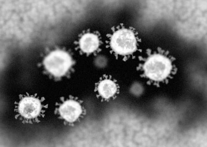 Zinātnieki atklājuši jaunu veidu, kā cīnīties ar gripu. Tas varētu līdzēt arī Covid gadījumā