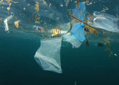 Kāpēc pasaules okeāns slīkst plastmasā un kā to novērst?