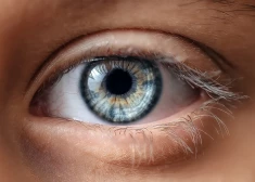 Какая связь существует между цветом глаз и характером человека?